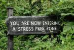 stressfreezone