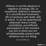 stillness-schiffman