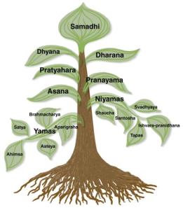 8limbsofyoga-tree